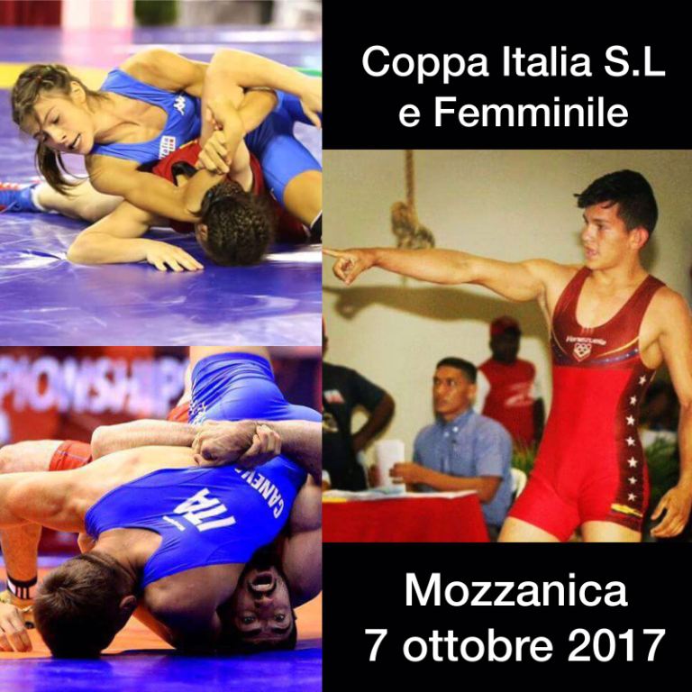 Mozzanica2017